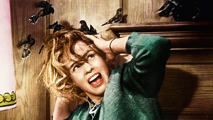 THE BIRDS · DIE VÖGEL - Black Box Filmmuseum Düsseldorf
