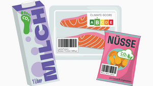 Carbon Footprint Labels on Food: A Tool for Sustainable Choices?