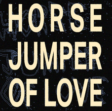 Horse Jumper of Love in Hamburg