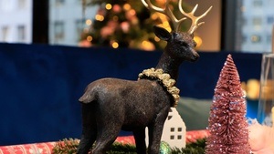 Secret Surprise Santa Night