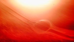 Kunstansichten 2026 im SCAPE°