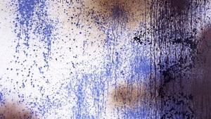 Ausstellungseröffnung: Hans Hartung und die deutsch-französische Freundschaft