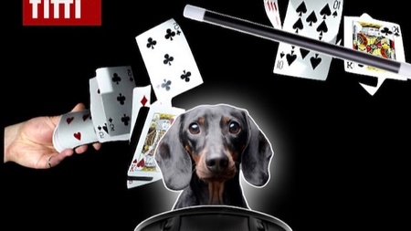 Die verrückte Zaubershow