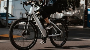 E-Bike-Tour "Vom Rhein zum Wein, Fahrt nach Bad Dürkheim"