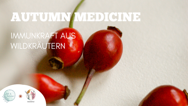 AUTUMN MEDICINE – Pflanzen fürs Immunsystem & stärkende Atemübungen
