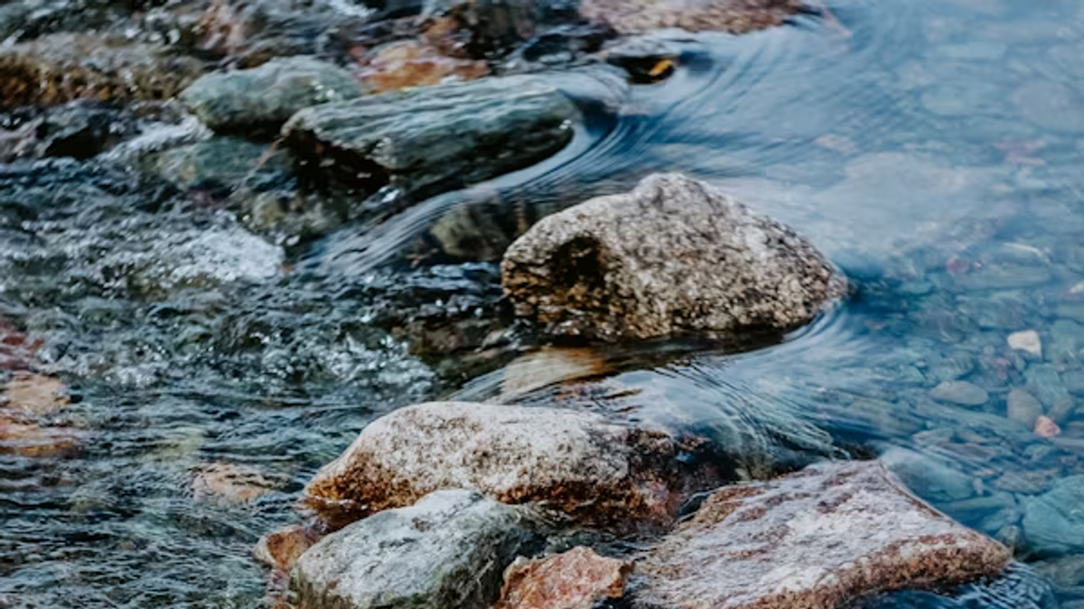 Die Saale im Blick