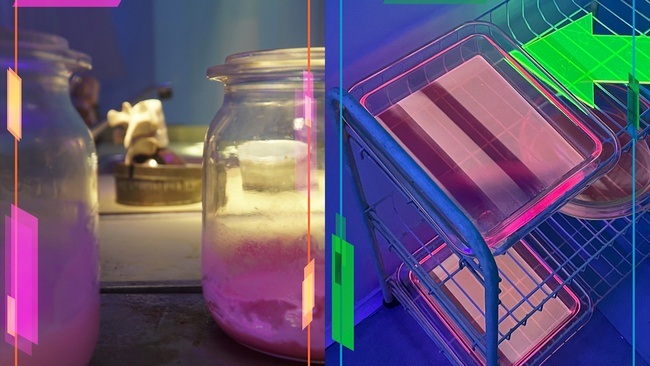 SPECULATIVE ARTIFACTS
