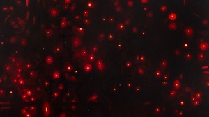 Julia Selin – Sun's Show