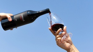 Die Weinwanderung