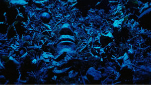 Bjørn Melhus: LOST IN FINITY Eröffnung