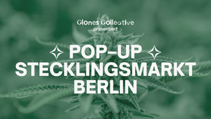 POP–UP STECKLINGSMARKT BERLIN 2025