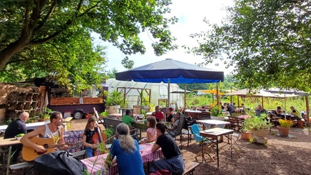 Offener Gartentag mit Café, Gemüse- Obst und Jungpflanzenverkauf in der grünen Stadtoase