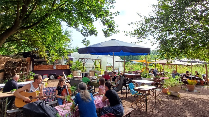 Offener Gartentag mit Café, Gemüse- Obst und Jungpflanzenverkauf in der grünen Stadtoase