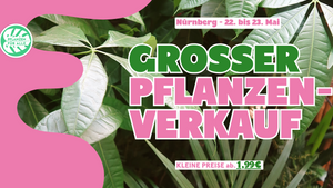 Großer Pflanzenverkauf - Nürnberg