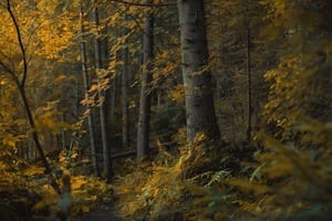 Hänsel und Gretel im Zauberwald