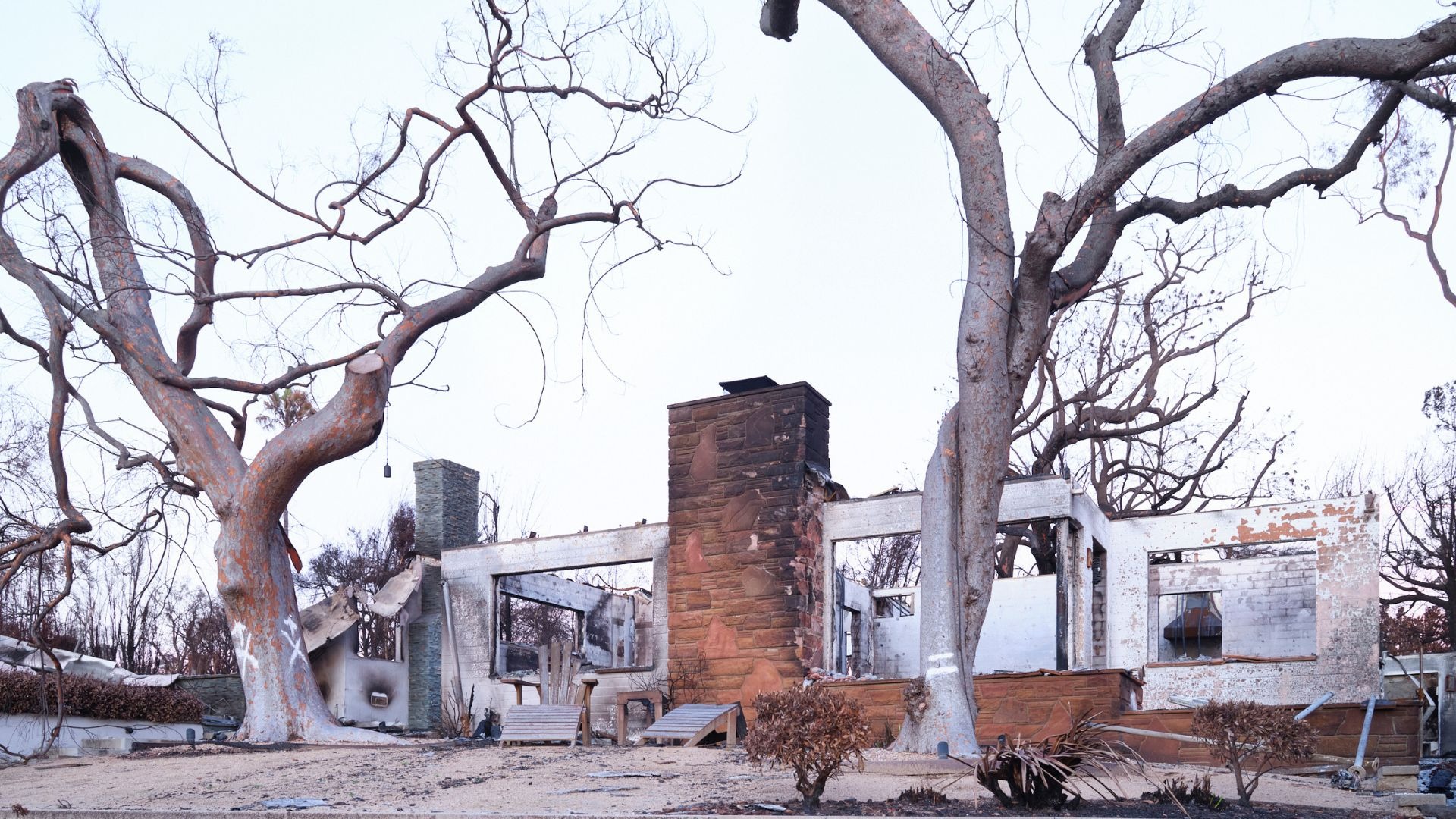 Ausstellung: Marc Trautmann. ASHES OF MODERNISM