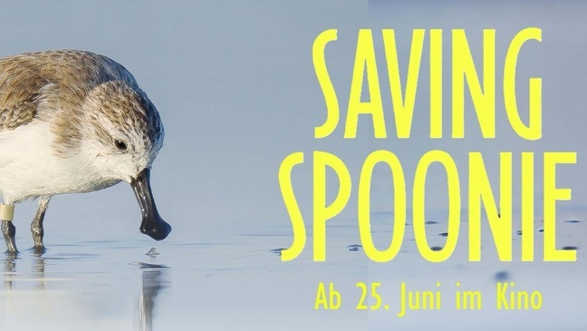 FILMPREMIERE: Dokumentarfilm "SAVING SPOONIE" mit Gästen