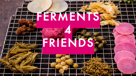 Ferments4Friends