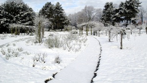 Winterruhe – GartenPraxis im Westfalenpark
