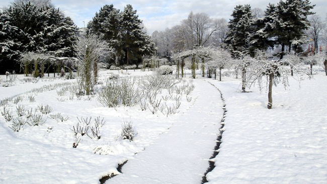 Winterruhe – GartenPraxis im Westfalenpark