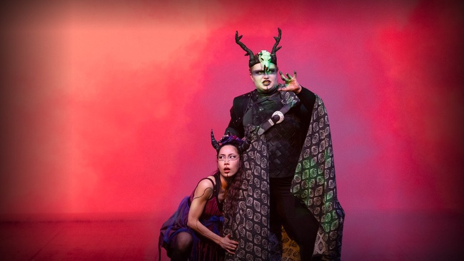 A Midwinter Night's Dream