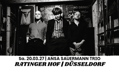 ANSA SAUERMANN TRIO
