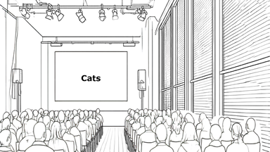 KINOFILM Cats