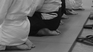 Aikido-Training