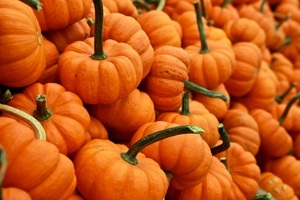 Herbstmarkt: die Gaben der Natur