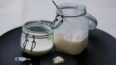 Fermentiert glücklich - Darmgesundheit, Mikrobiom & Fermente Workshop