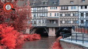 Krimi-Trail Erfurt: Die Puffbohne