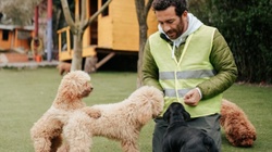 Tierheim und Tierschutzverein Stuttgart und Umgebung e.V.