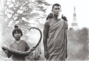 Die birmanische Harfe