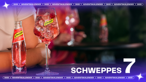 7. Türchen: Schweppes - Barabend