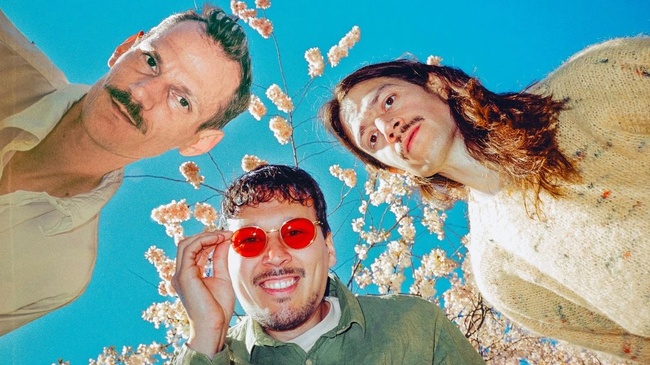 Löwenzahnhonig live