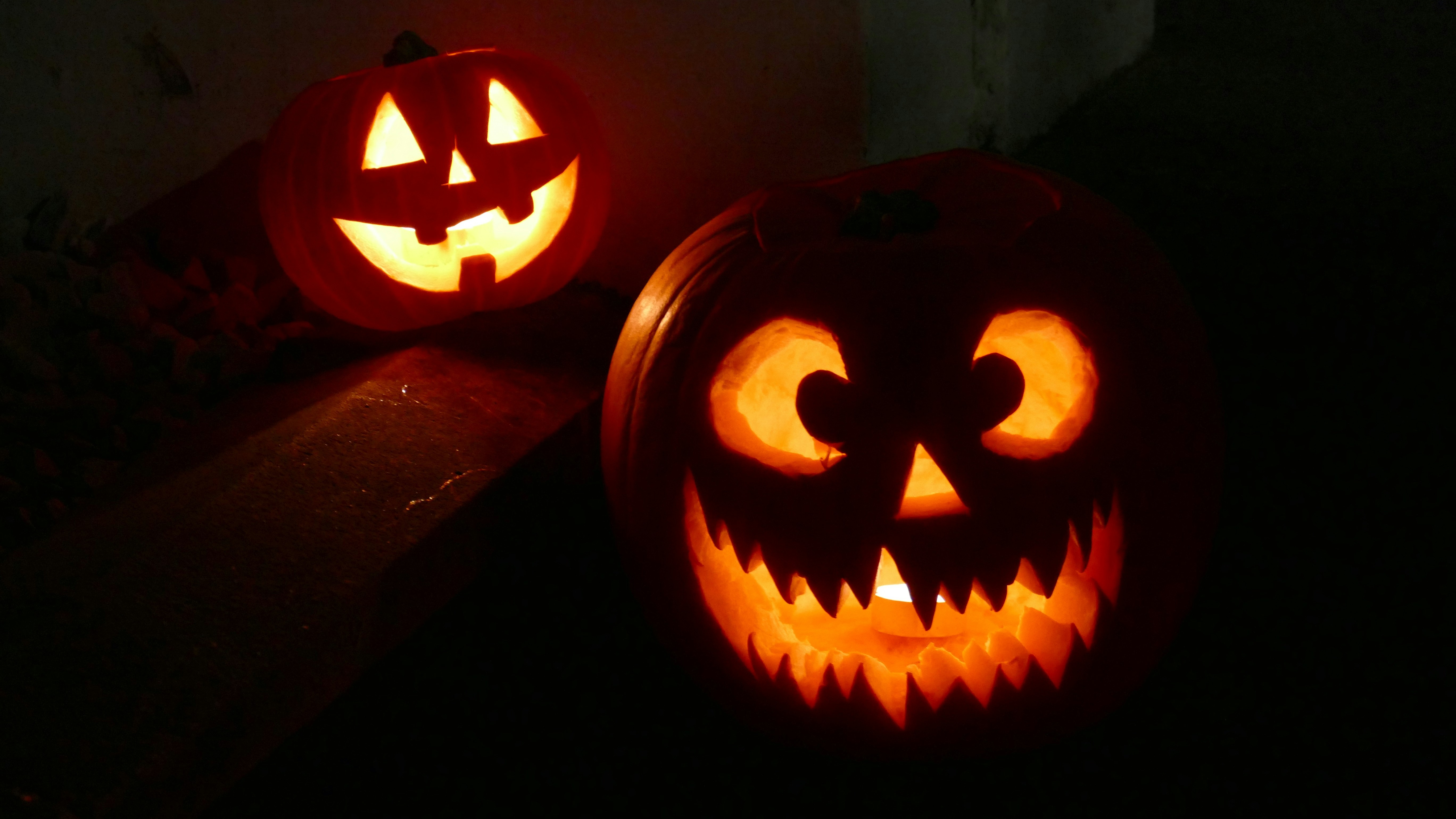 Punsch & Pumpkin 🎃