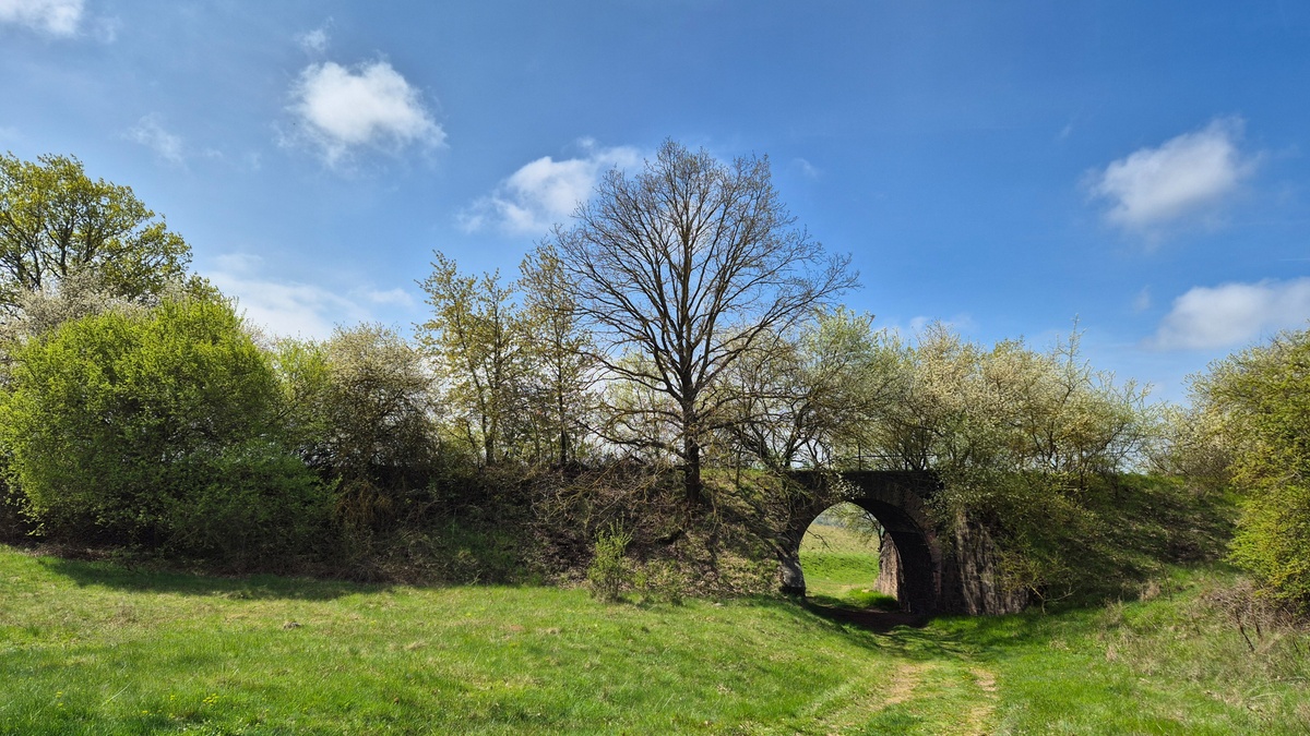 Wanderung: Zur Porphyrlandschaft bei Gimritz