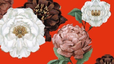 Female Book Club - Buchvorstellung mit Gesprächsrunde