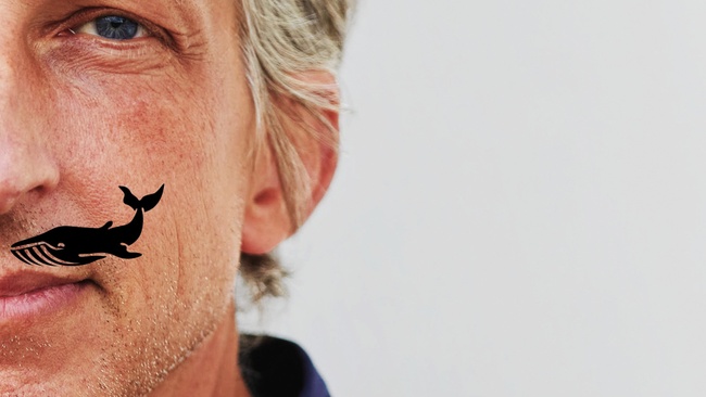 William Wahl - wahlweise