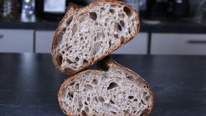 Vollkorn-Sauerteigbrot-Workshop