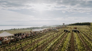 Weinsüden Pop-up in Hagnau am Bodensee