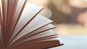 Literaturkreis: Jens Sparschuh: "Nicht wirklich"