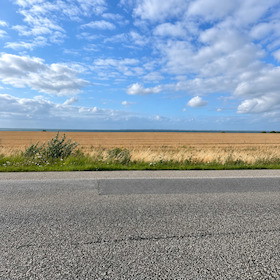 Road Movies