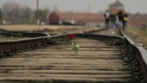 Endloser Terror: Klanginstallation zum 80. Jahrestag der Befreiung von Auschwitz