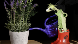 Als der Kleine Koriander kam