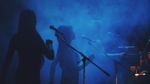 10. A-CAPPELLA-FEST im Kulturforum Schleswig-Holstein-Haus