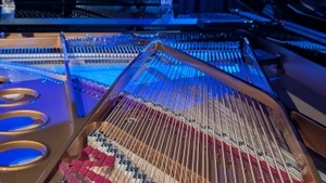 Konzert-Einweihung des Flügels für Neue Musik