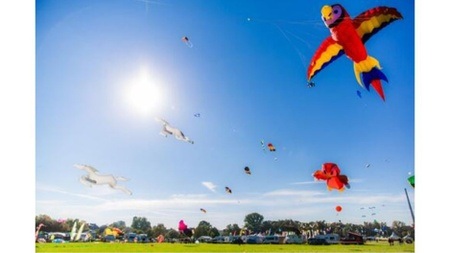 Drachenfest