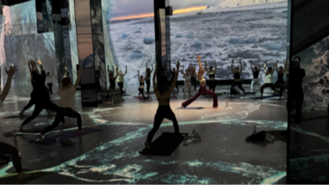 Immersives Yoga