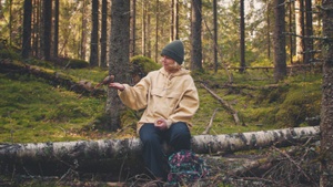Once Upon a Time in a Forest